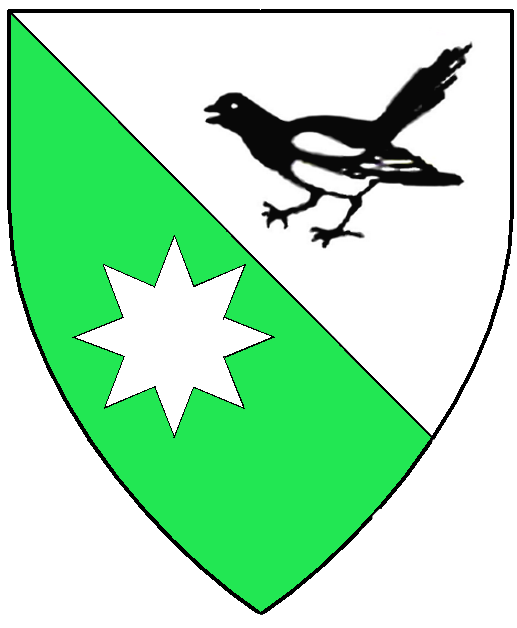 Per bend argent and vert, a magpie proper and a mullet of 8 points argent